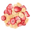 Sunseed Banana and Strawberry Small Animal Treat - 0.7 oz - 2 of 3