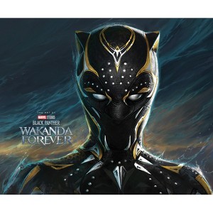 Marvel Studios' Black Panther: Wakanda Forever - The Art of the Movie - by  Jess Harrold (Hardcover) - 1 of 1