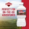 Arrowhead Brand 100% Mountain Spring Water - 12pk/12 fl oz Bottles - 4 of 4
