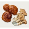 Primal Harvest Mind Fuel, Nootropic Brain Supplement for Focus, Energy & Clarity (30ct) - 2 of 4