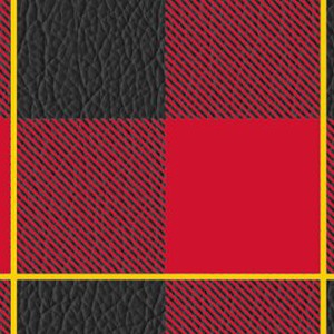 maryland terrapins