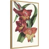 Amanti Art Paxton Tropicals II by Jennifer Paxton Parker Framed Canvas Wall Art - 3 of 4