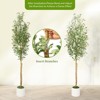 Olive Trees Artificial Indoor, Tall Faux Silk Plant White Planter, Fake Olive Trees with Natural Wood Trunk and Green Fake Moss for Home Office Decor - 4 of 4