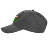 Teenage Mutant Ninja Turtles Logo Adult Dad Cap Charcoal OS - 3 of 4