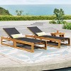PAGED Patio Chaise Lounge Wooden Adjustable Recliner with Armrests Modern Lounge Chair for Garden, Poolside - 2 of 4