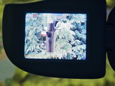 Guest review image 5 of 6, zoom in