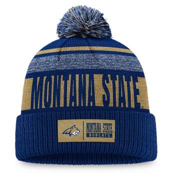: Trance State Knit Spartans Beanie Ncaa Michigan Target