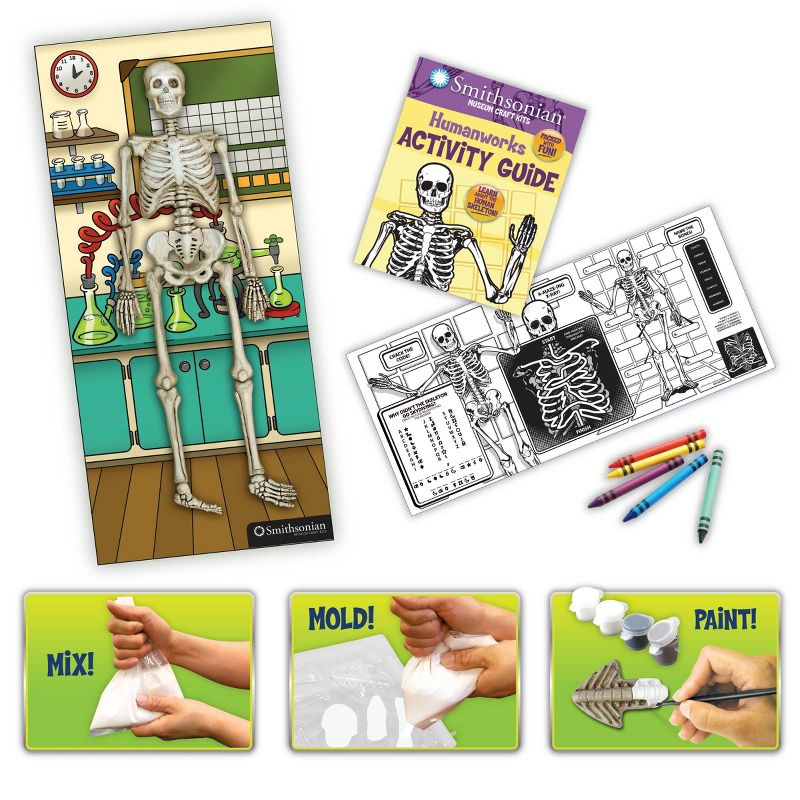 Smithsonian Museum Craft Kit - Skeleton, 4 of 5