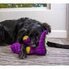 goDog Dinos Bruto Squeaky Plush Dog Toy, Chew Guard Technology,  Purple, Large - 4 of 4