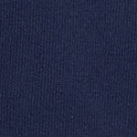 radiant navy