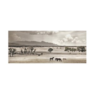 Trademark Fine Art - Murray Bolesta Ranchland 9 Canvas Art - 1 of 4