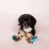 PetShop by Fringe Studio Mersloth Set Dog Toys - 3pk - 2 of 3