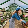 8x12 Ft Aluminum Large Walk-in Greenhouse, Polycarbonate Greenhouse with Adjustable Roof Vent for Outdoors, Greenhouse for Patio, Lawn - 2 of 4