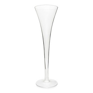 Ravenscroft Crystal Ravenscroft Classics Hollow Stem Flute (Set of 4), Made in Europe, 100% Lead-Free Crystalline - 1 of 1