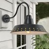 Dewdrop 28.7" Black Iron Outdoor Wall Light, 1-Light Farmhouse Rustic Exterior Fixture with White Rivets for Porch, Patio, Garden - 2 of 4