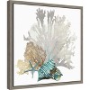 Amanti Art Coral by Aimee Wilson Canvas Wall Art Print Framed 16 x 16-in. - 3 of 4