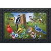 Briarwood Lane Spring Doormat 30x18 Indoor Outdoor Country Birds For Spring Doormat - 2 of 4