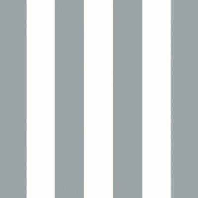 Stone Gray Cabana Stripe