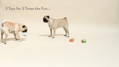 Fringe Studio Plush Dog Toy Set, FAIR Foods, 3 Piece Set, for Small Dogs  (289505)