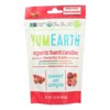 Yumearth Organic Hard Candies Favorite Fruit Flavors - Case of 6/3.3 oz - 2 of 4