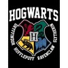 Harry Potter Hogwarts Houses Black T-shirt Toddler Boy to Youth Boy - 2 of 3