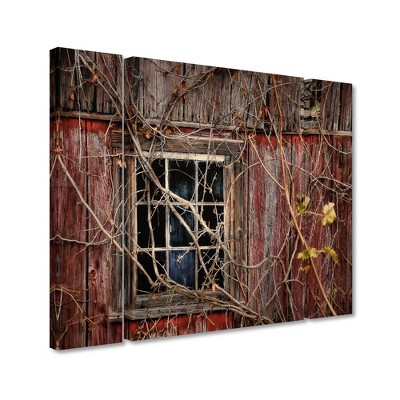 Trademark Fine Art -Lois Bryan 'Old Barn Window' Multi Panel Art Set