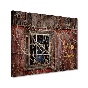 Trademark Fine Art -Lois Bryan 'Old Barn Window' Multi Panel Art Set Small