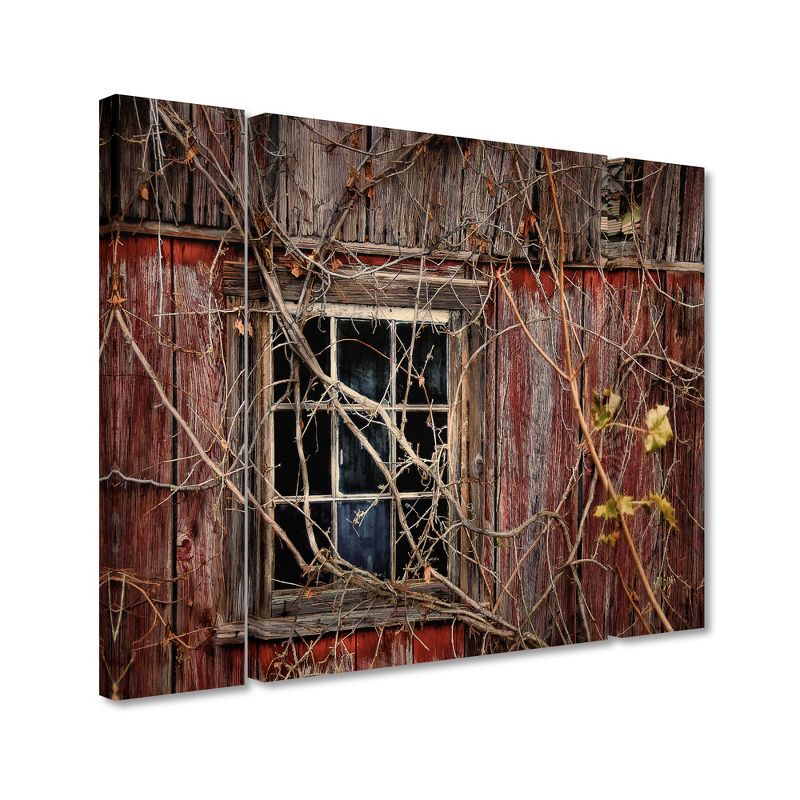 Trademark Fine Art -Lois Bryan 'Old Barn Window' Multi Panel Art Set Small, 1 of 4