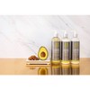 Design Essentials Almond Avocado Curl Custard - 12oz : Target