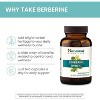 Himalaya Berberine for Balanced Support, Digestion & Immune System Support, 500 mg, 60 Vegetarian Capsules, 1 Month Supply - 4 of 4