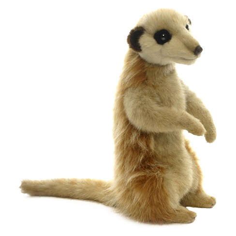 Where Can I Buy A Toy Meerkat - ToyWalls