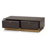 Cormac Wood and Metal 2 Drawer Coffee Table - Baxton Studio - 3 of 4