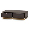 Cormac Wood and Metal 2 Drawer Coffee Table - Baxton Studio - image 3 of 4