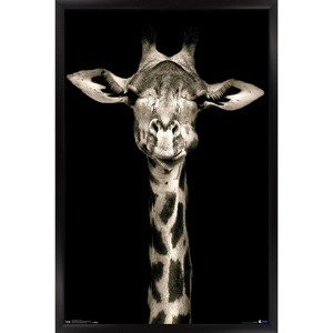 Trends International Portrait of a Giraffe Framed Wall Poster Prints - 1 of 4