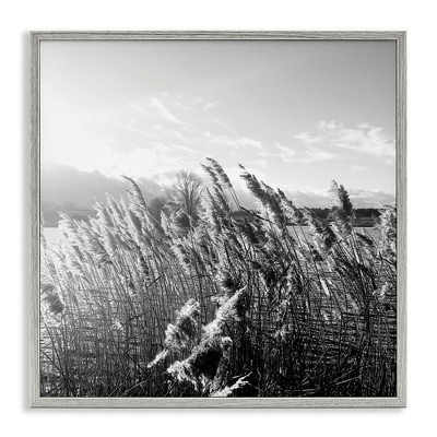 Stupell Industries Tall Grass Lake Water Landscape, 12" x 12"