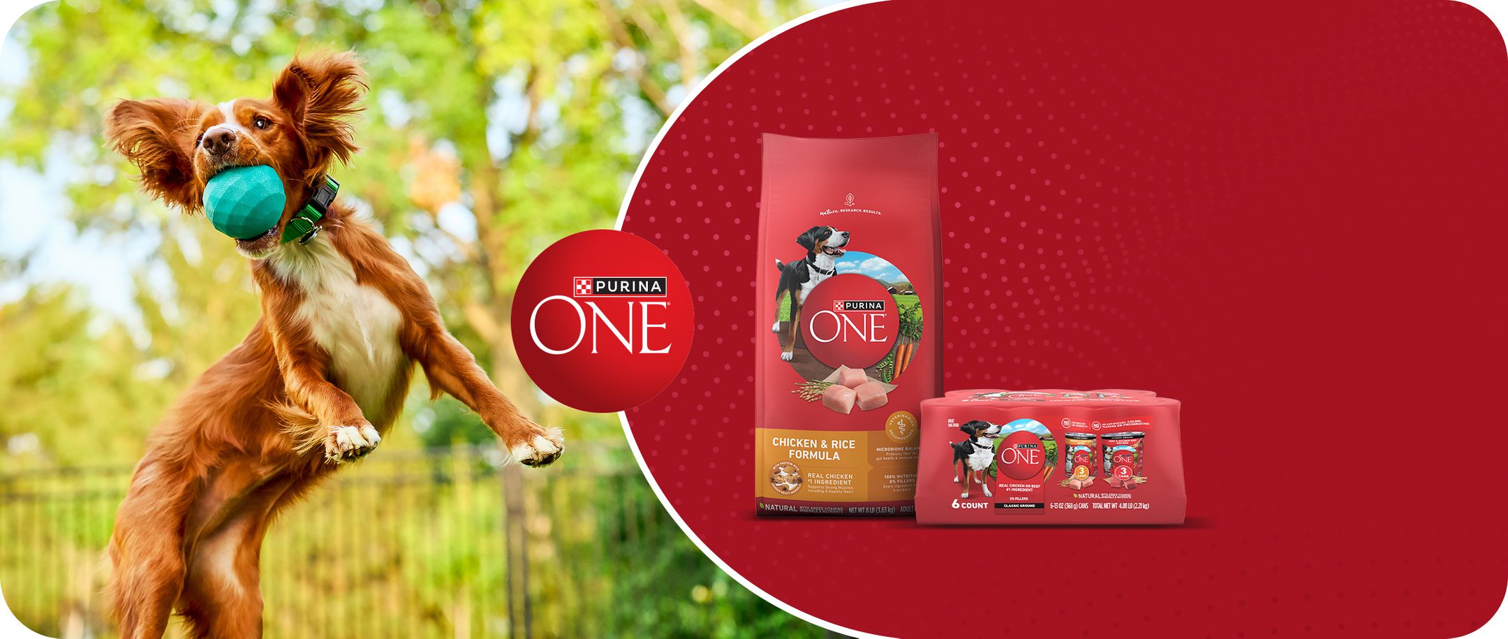 PURINA ONE