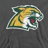 Northern Michigan University Official Distressed Primary Logo Adult Pull-Over Hoodie - 2 of 4