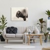 Stupell Industries Shaggy Buffalo Rustic Portrait Vintage Sepia Tone Photography Canvas Wall Art - 2 of 4
