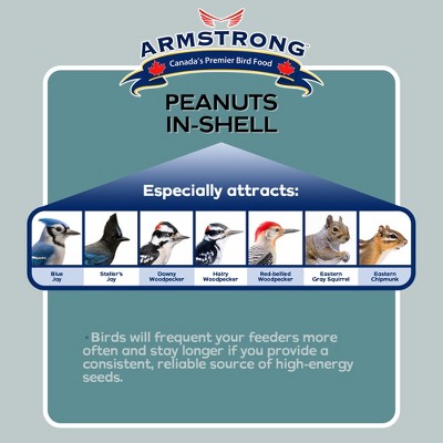 10lb Peanuts-in-Shell Bird and Wildlife Food