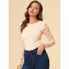 Allegra K Women's Slim Fit Sheer-Long-Sleeves Flower Embroidery Lace Top - 2 of 4