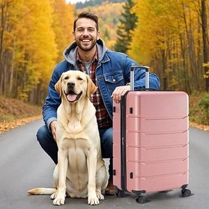 YONWAY 20-Inch Carry-On Luggage With Spinner Wheels And TSA Lock, Airline Approved Lightweight Hardside Suitcase For Travel, Hardshell Suit Case - 1 of 4