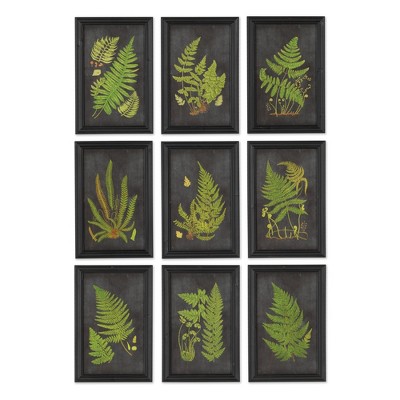 Plum & Post Framed Fern Botanical Prints, Set Of 9