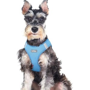 rabbitgoo Small Dog Harness, Step-in Soft Mesh Reflective Pet Harness for Large Dogs, Blue XXL - 1 of 1