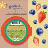 Peaceful Fruits Fruit Tape Blueberry Pineapple - 0.5 oz (Case of 12) - 4 of 4