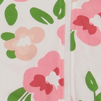 pink flowers on white background