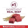 Purina ONE SmartBlend Small Bites Beef & Rice Formula Adult Dry Dog Food - 4 of 4