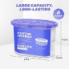CLEVAST Moisture Absorbers Boxes, 10 OZ, 6 Pack, Dehumidifier Box for Closet, Absorber in Wardrobes, Bedrooms, Bathrooms, RV - 3 of 4