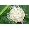 Rice Sevai (Vermicelli) 500g , Pack of 3 - 3 of 3