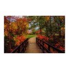 KI Puzzles Bridge 500 Piece Natures Beauty Jigsaw Puzzle - 2 of 4