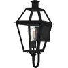 Rue De Royal 1-Light Earth Black Outdoor Wall Lantern - 4 of 4